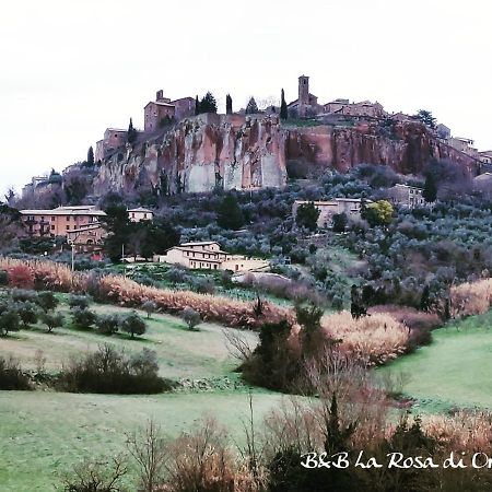 Bed and Breakfast La Rosa di Orvieto Esterno foto