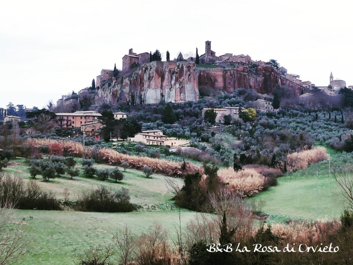 Bed and Breakfast La Rosa di Orvieto Esterno foto